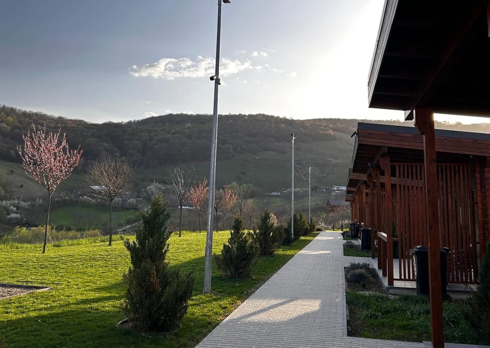 Spring, Mountain view