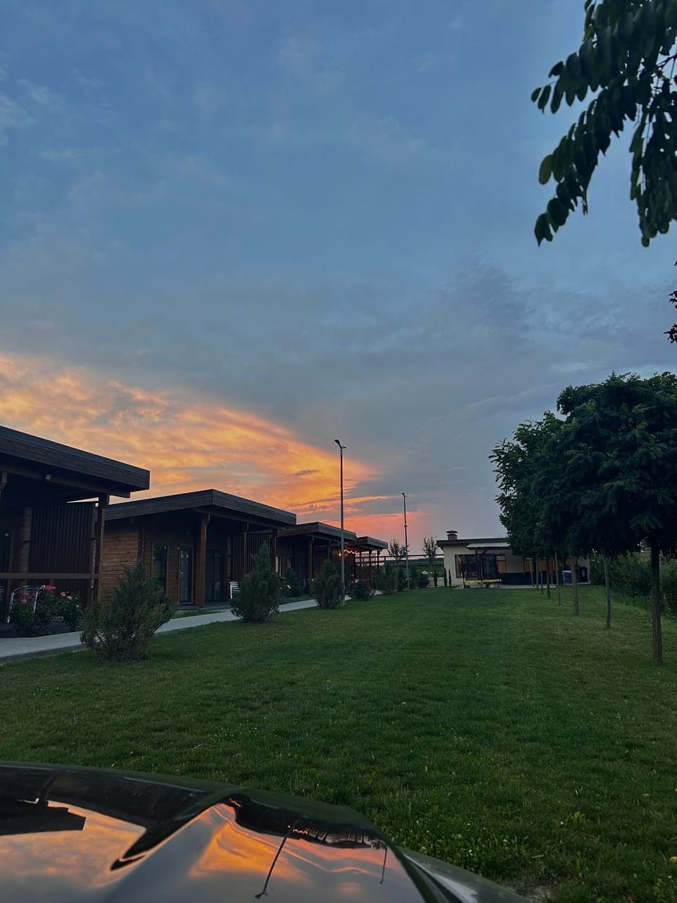 Garden, Sunset