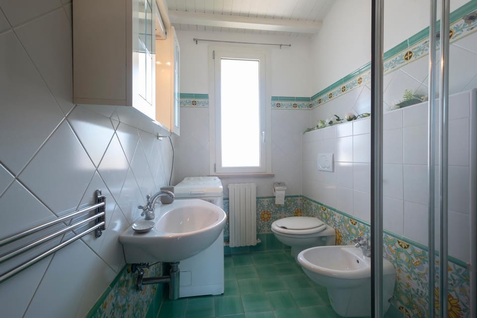 Shower, Toilet, Bathroom, bidet