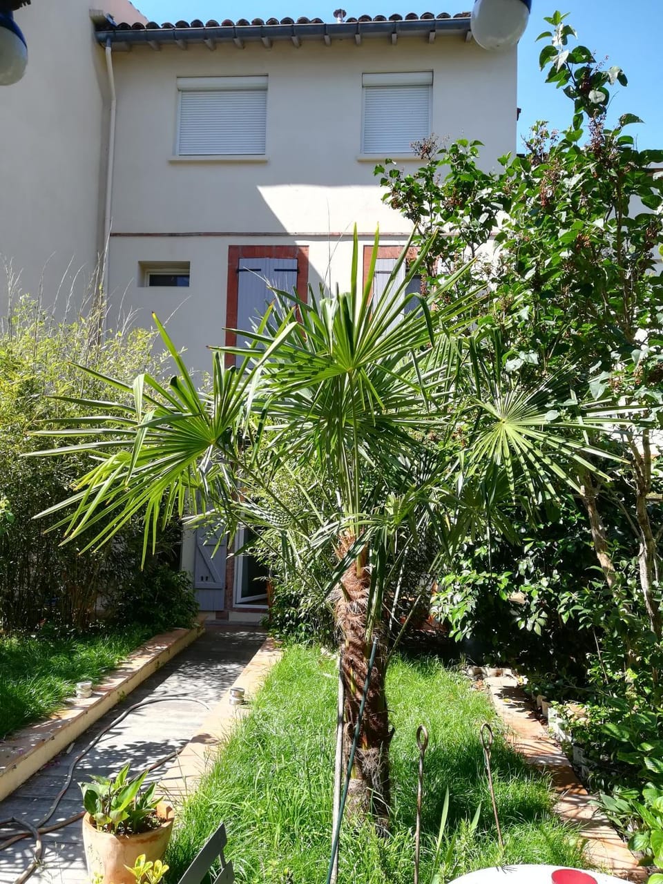Garden view