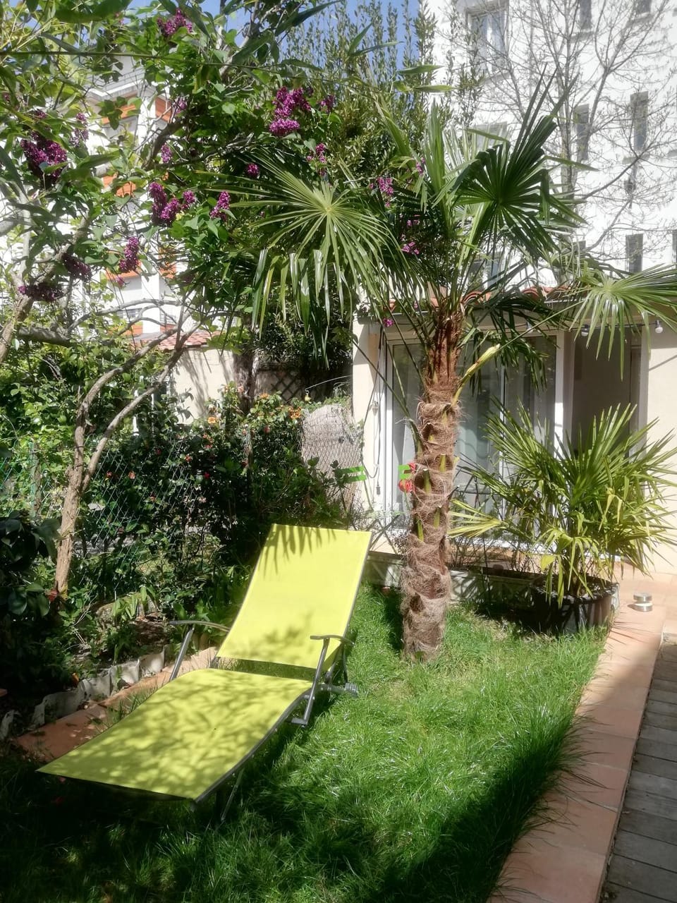 Garden view