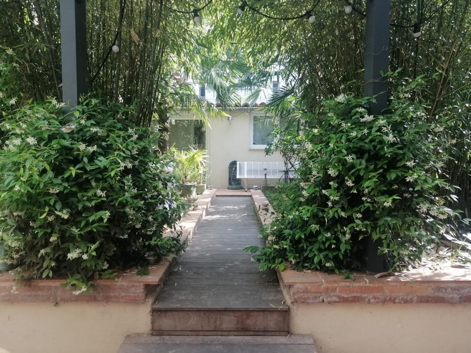 Garden view