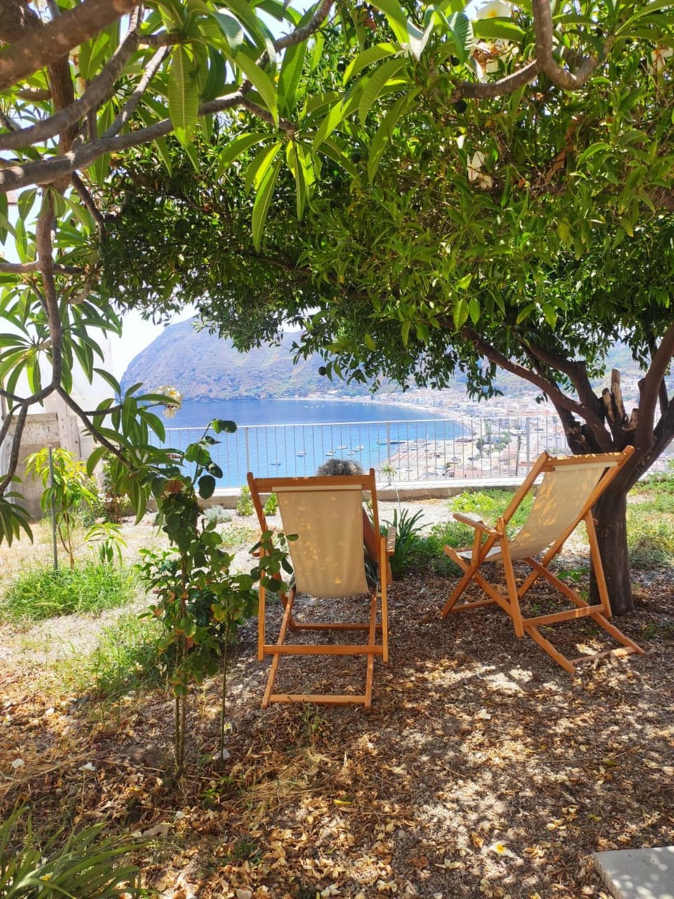 Garden, Sea view