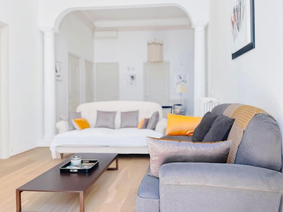 Le Bel Époque - Logement Centre Cannes Apartment in Cannes