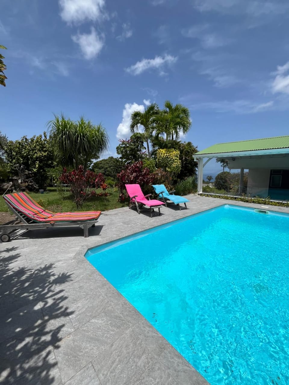 Garden, Pool view, Swimming pool, sunbed