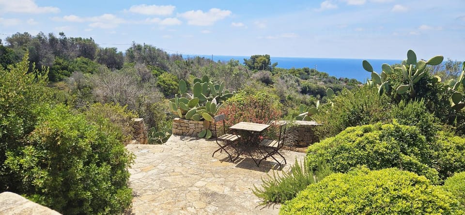 Natural landscape, Sea view