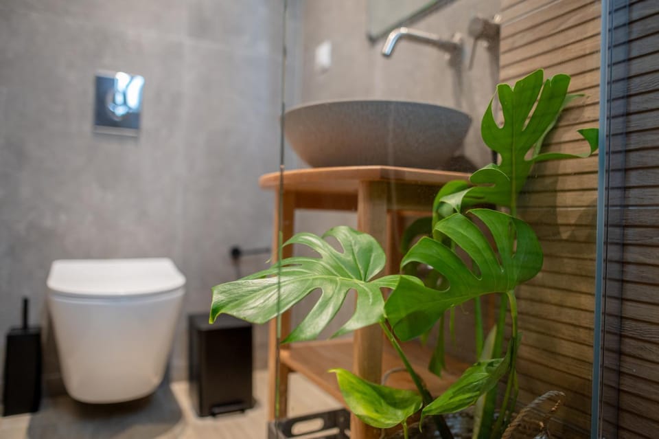 Toilet, Bathroom