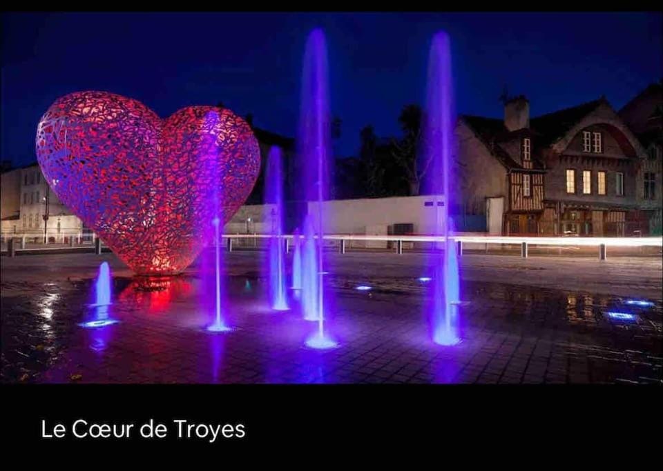 Superbe T2 de caractère au centre classé 3 étoiles Apartment in Troyes