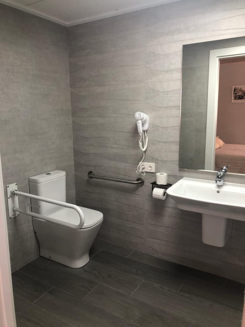 Toilet, Facility for disabled guests