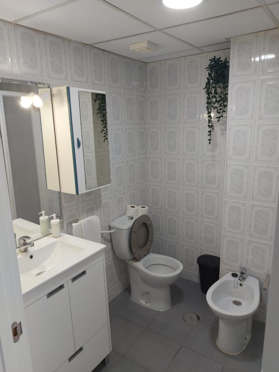 Toilet, Bathroom, bidet