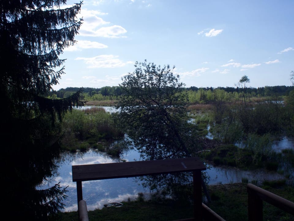 Lepakäbi metsamajakesed Campground/ 
RV Resort in Estonia