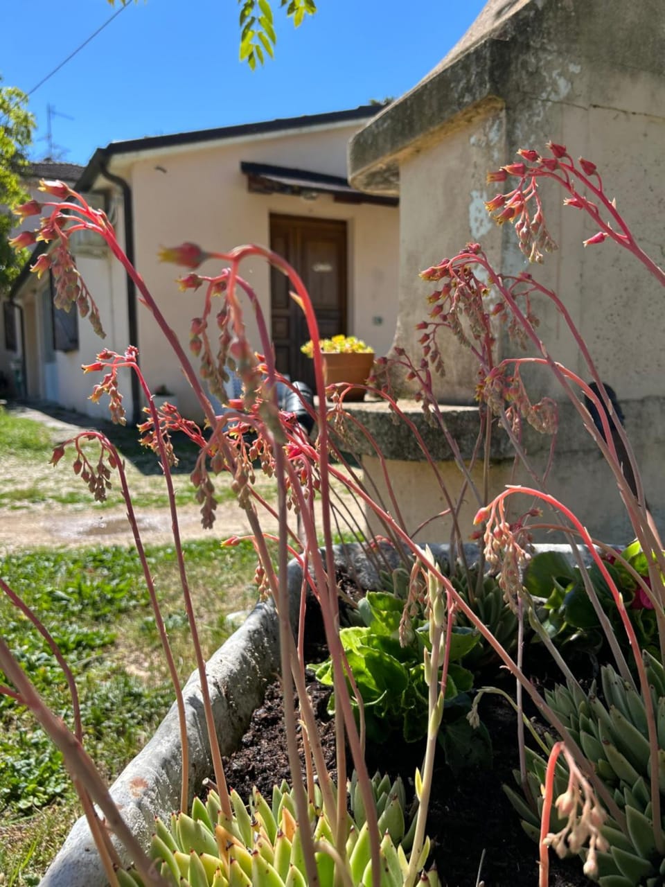 Cuore di Legno Country House House in Umbria