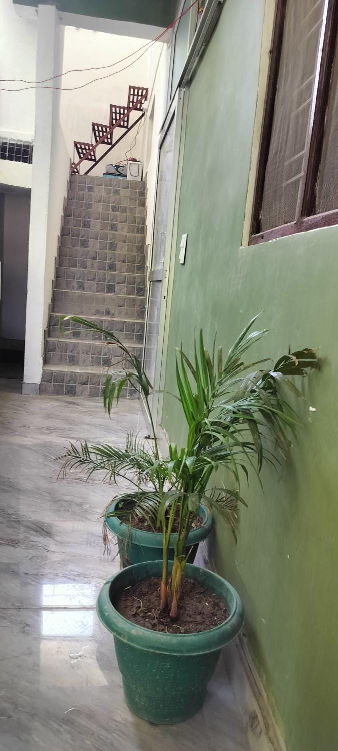 Limewood homestay Vacation rental in Uttarakhand