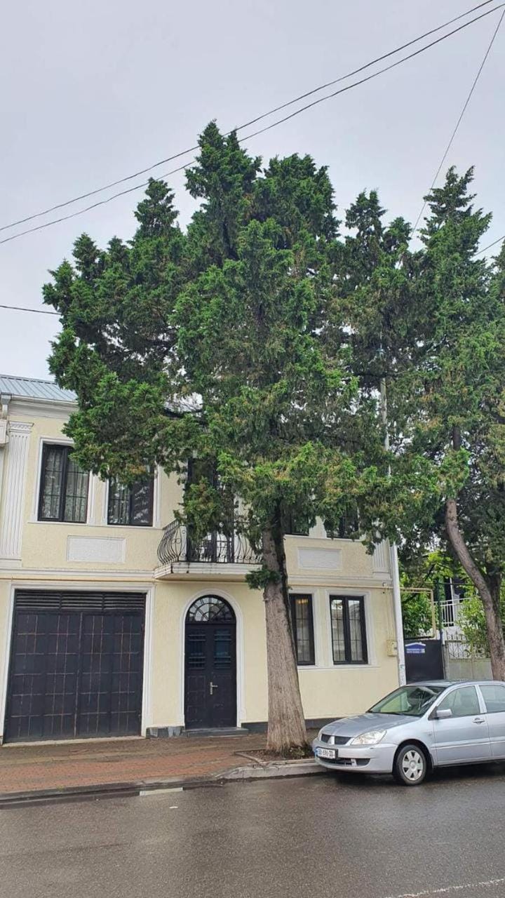Batumi Homestay Vacation rental in Batumi
