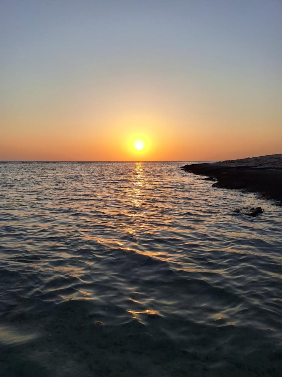 la vi marsa alam Apartment in Red Sea Governorate