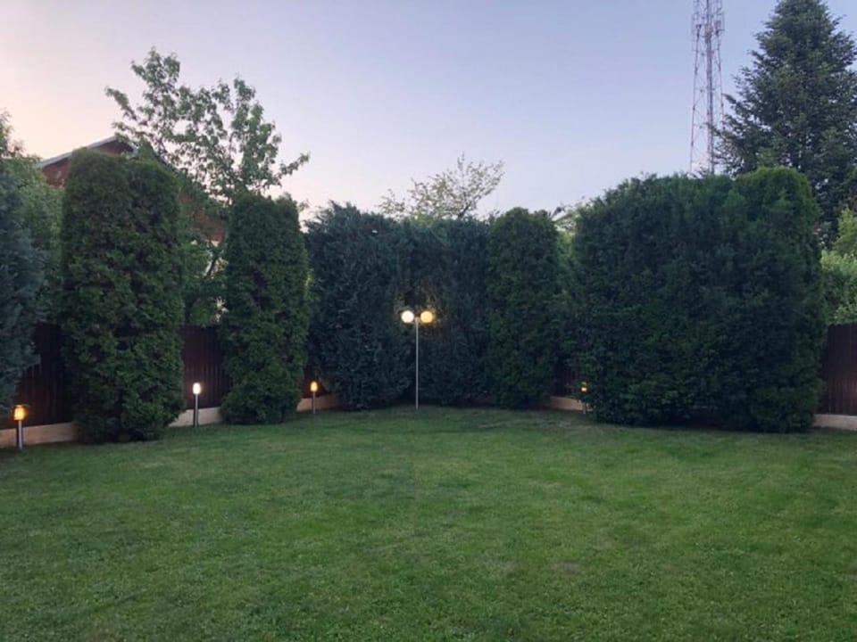 Natural landscape, Garden, Garden, Garden view, Sunset