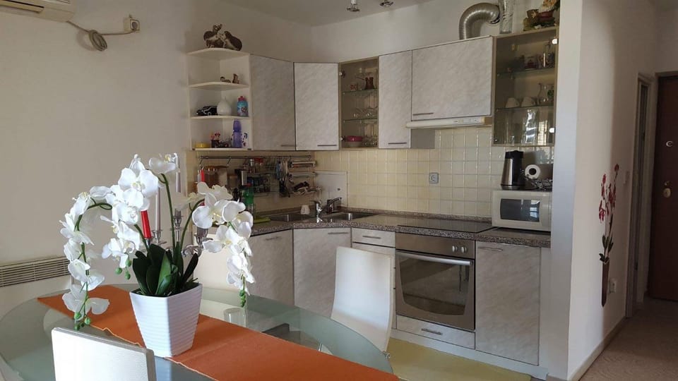 Kitchen or kitchenette, dishwasher, stove, kitchen