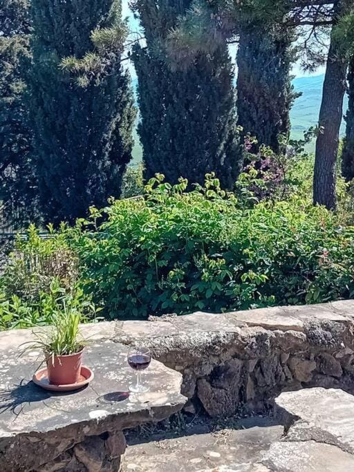 Natural landscape, Garden