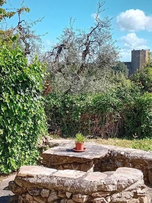 Garden, Landmark view