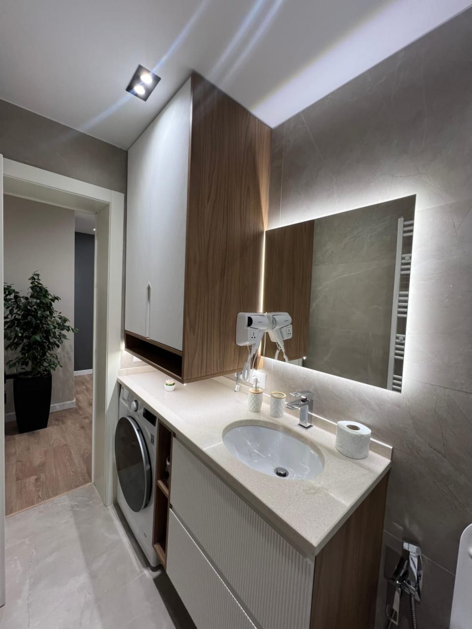 Bathroom, Kitchen or kitchenette, washing machine