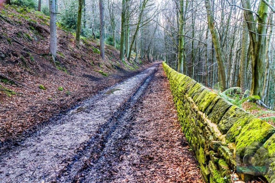 Room from Home, Private Ensuite Spacious Room Vacation rental in Sheffield