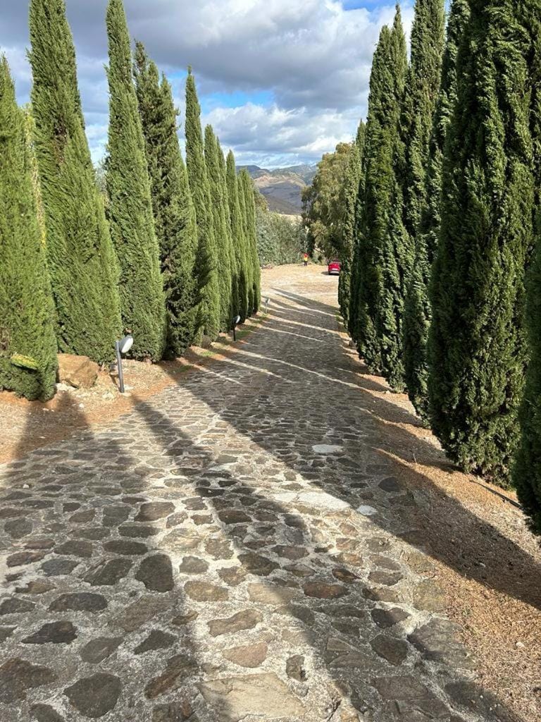 Le Case di Cardellino - AgriSpa Farm Stay in Sicily