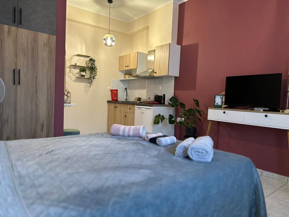 Bed, TV and multimedia, Kitchen or kitchenette, Photo of the whole room, Bedroom