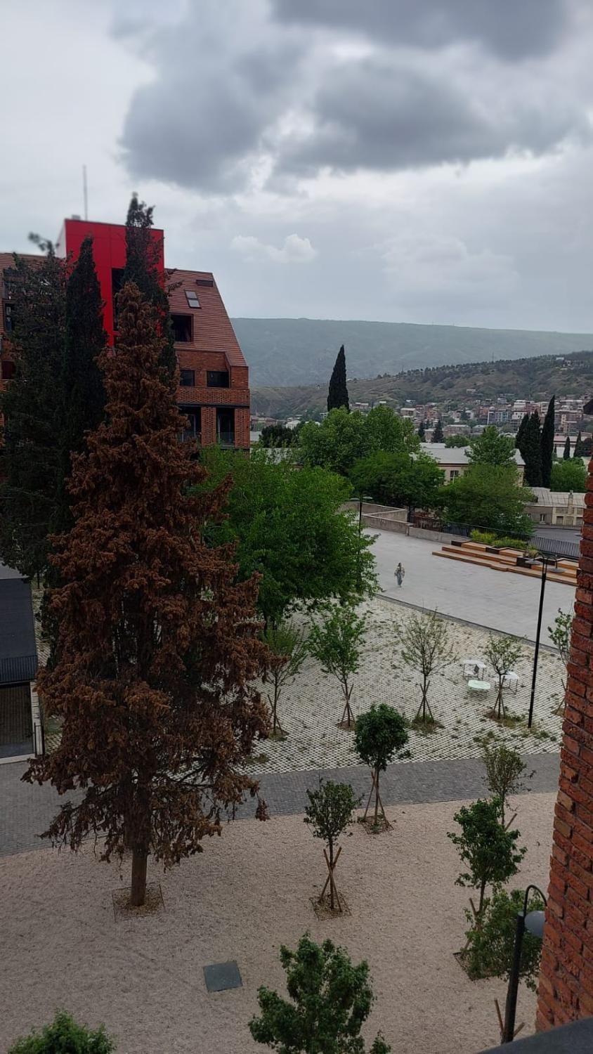 Brand new 1BR Top Moedani Apartment in Tbilisi, Georgia