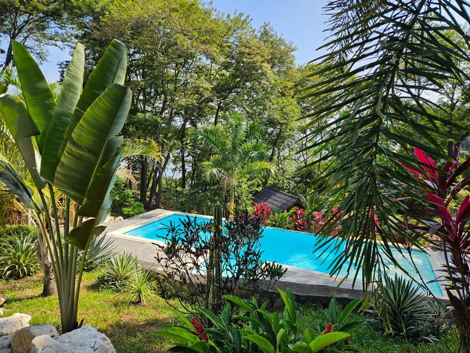 Pool view, Pool view, Swimming pool, Swimming pool, Swimming pool
