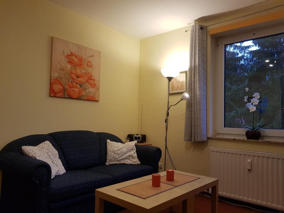 Mittelstation Apartment in Braunlage