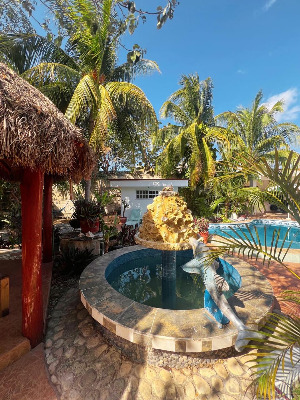 Casamaya Hostel & Diving Vacation rental in San Miguel de Cozumel