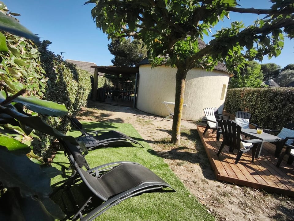 Garden, Garden view, sunbed