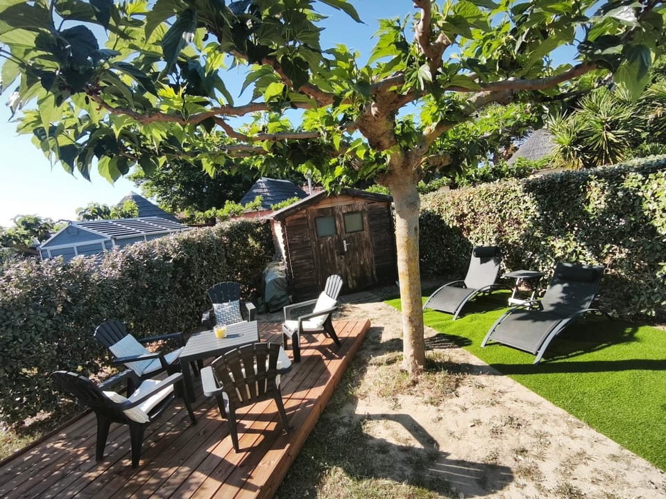 Garden, Living room