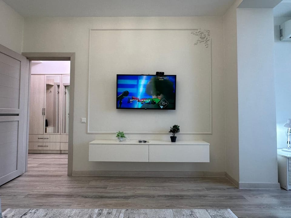 TV and multimedia