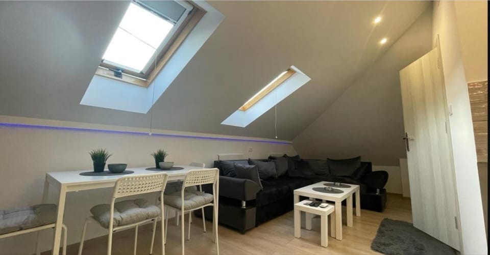 Due Apartment in Belgrade
