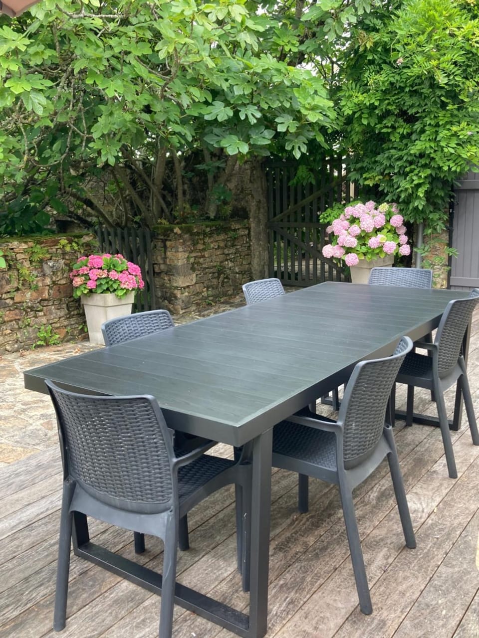 Patio, Dining area