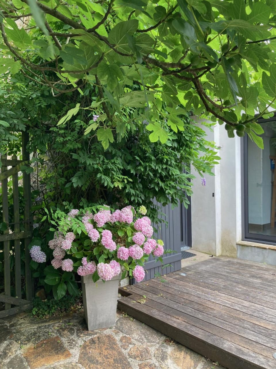 Patio, Facade/entrance