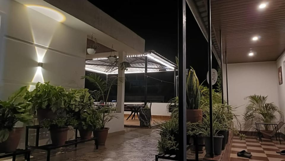 Patio, Night, Garden, Garden view