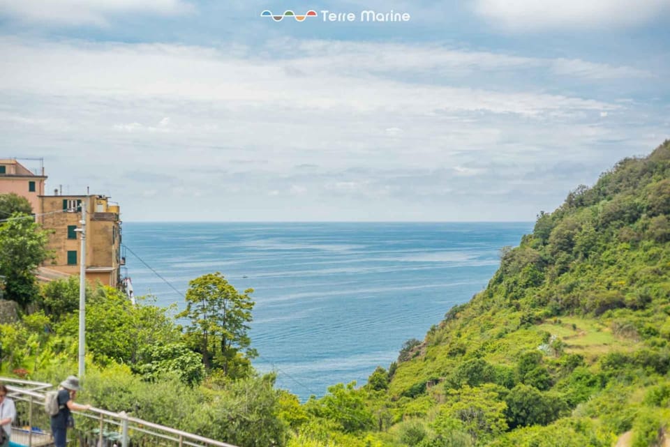 Life, TerreMarine Apartment in Corniglia