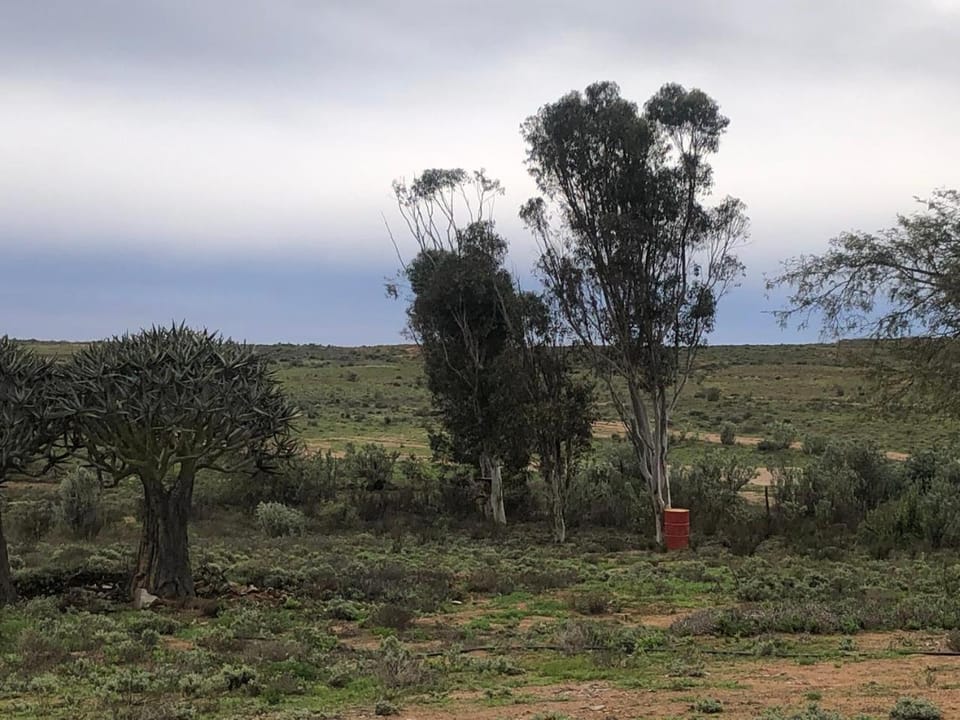 Natural landscape