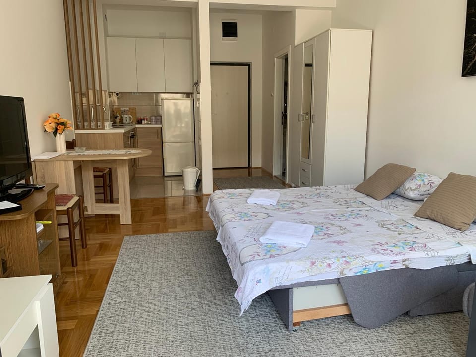 Apartman Andreja Apartment in Dubrovnik-Neretva County