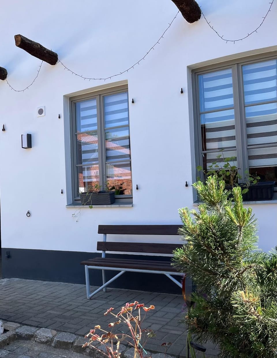 Patio, Garden
