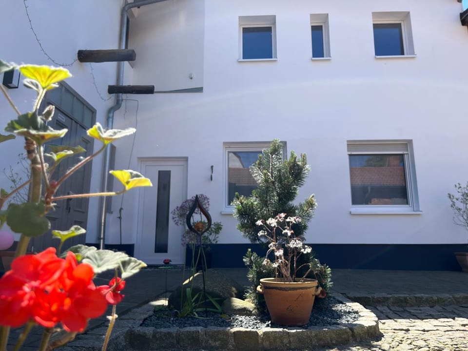 Patio, Garden