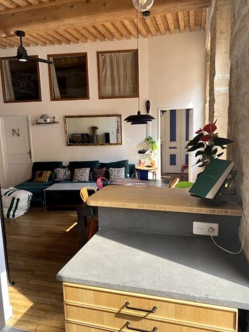 Beau T3 Canut lumineux de 75m2 Apartment in Caluire-et-Cuire