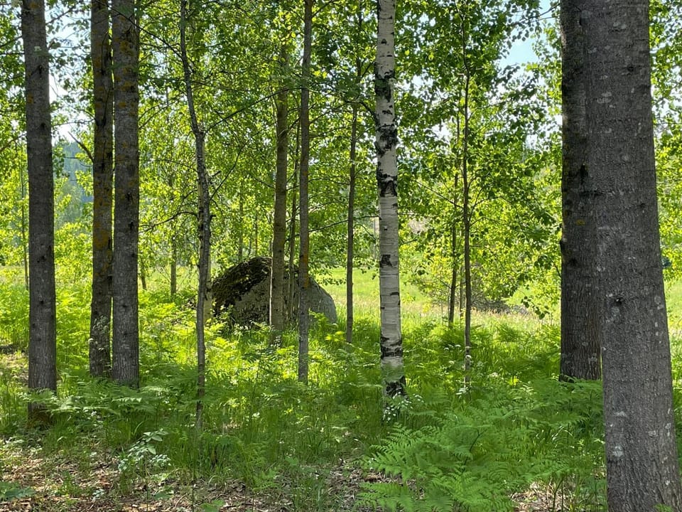 Myllärin Aitta Chalet in Finland