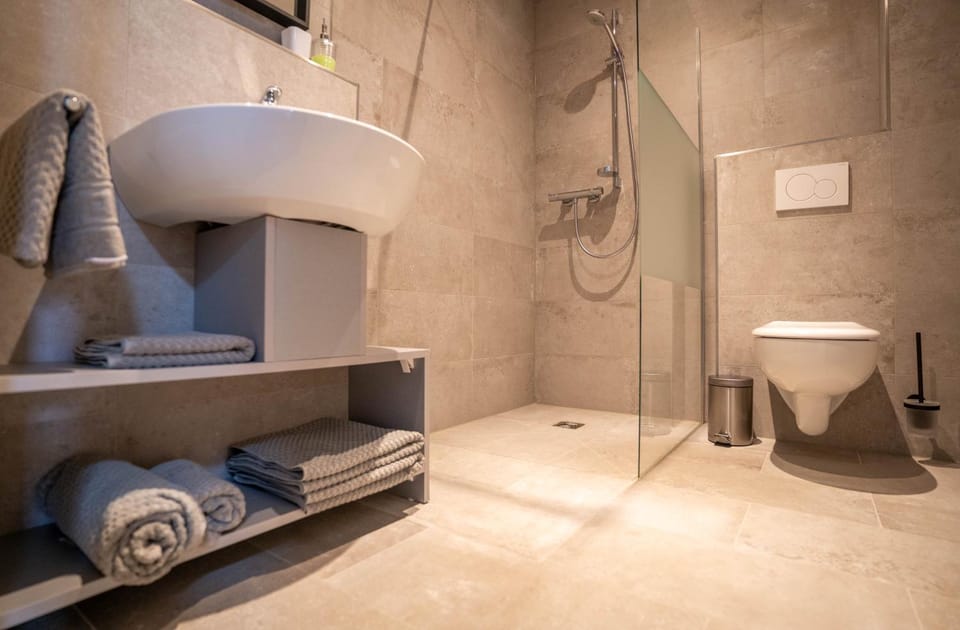 Shower, Toilet, Bathroom, towels