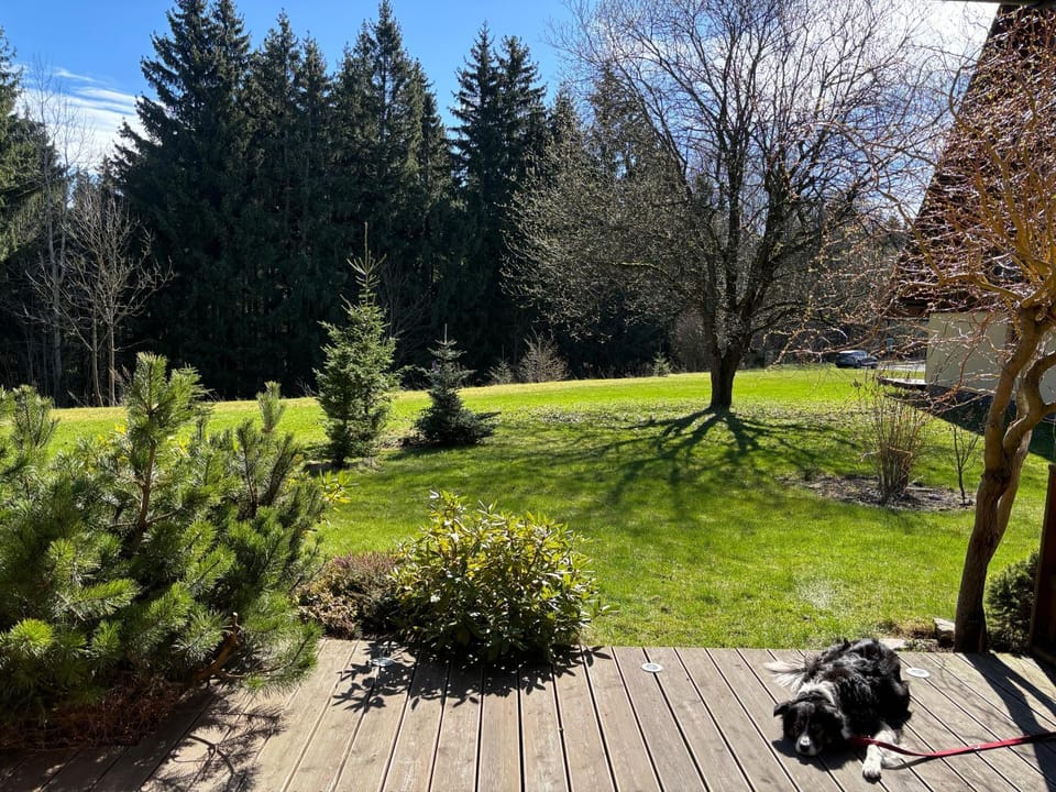 Apartmán Vratička Říčky v Orlických horách Apartment in Czechia