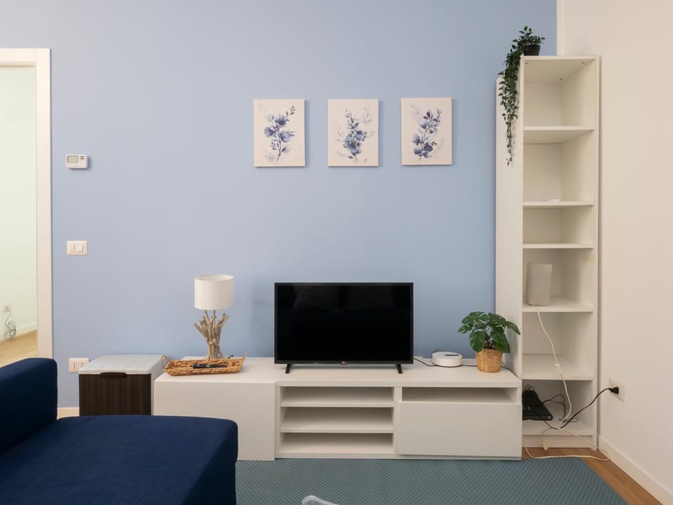 TV and multimedia