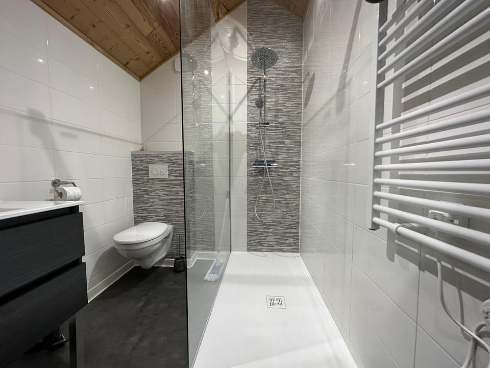 Shower, Toilet
