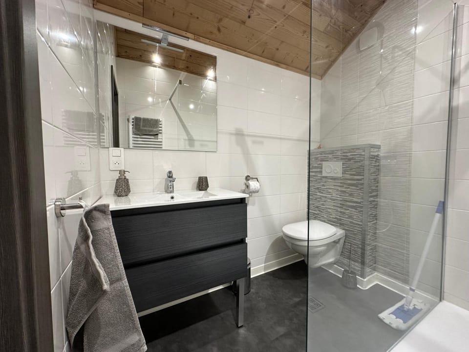 Shower, Toilet
